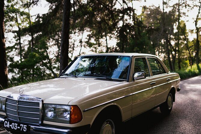 Pena Palace & Sintra Full Day -Private Tour in Classic Car - Monserrate Palace grounds: a quieter romantic pause