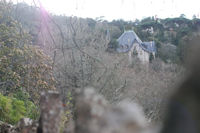 Private 1 hour and half Sintra Guided Tour - Biester Chalet (Palácio e Parque Biester): Swiss Meets Moorish in Pena Park