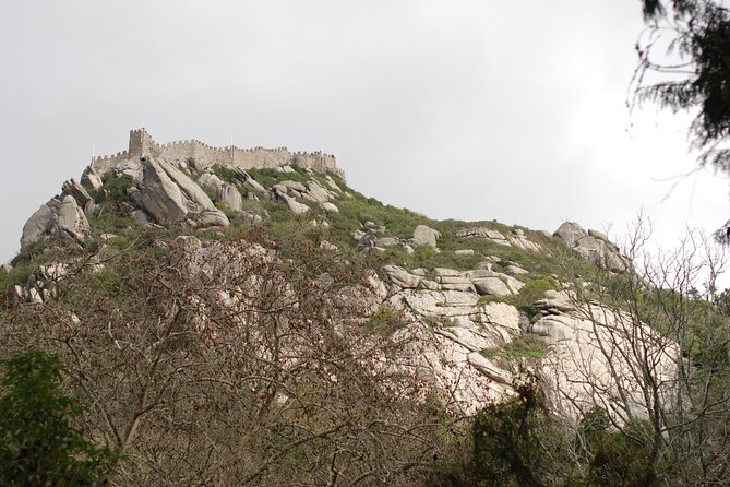 Private 1 hour and half Sintra Guided Tour - Pena Palace and Park: The Romantic Big Hit (With Paid Entrance)