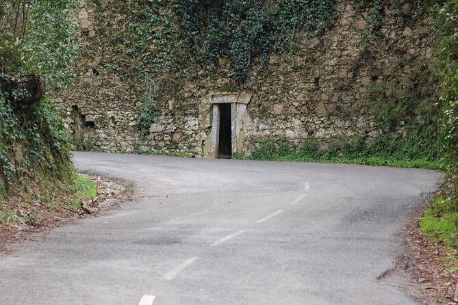 Private 1 hour and half Sintra Guided Tour - Ancient Duck Houses in Pena Park: Quiet Time, Unexpected Charm