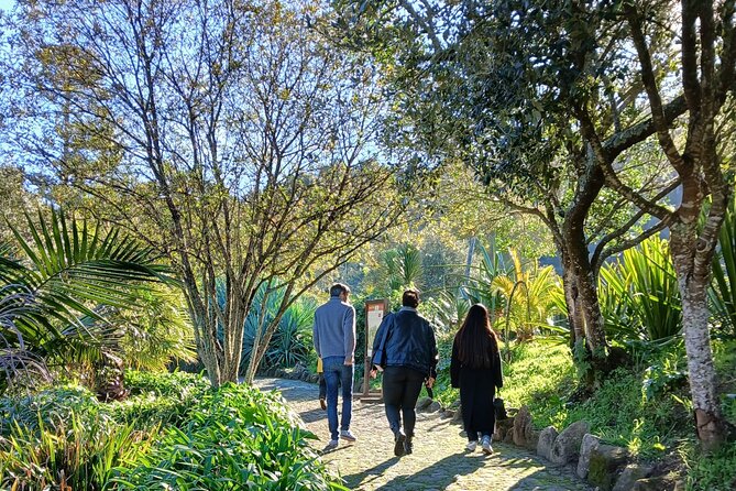 Private Chilled Daytrip to Sintra - Price and Value: When $177.44 Makes Sense