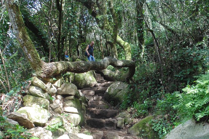 Private Day Tour from the Centre to the Highest Point in Sintra. - Vila Sassetti gardens: a calmer start than you expect