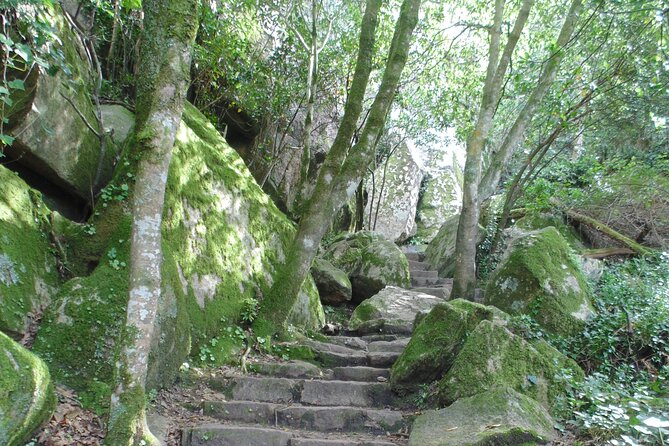 Private Day Tour from the Centre to the Highest Point in Sintra. - Pena Park: where the day’s best value lives