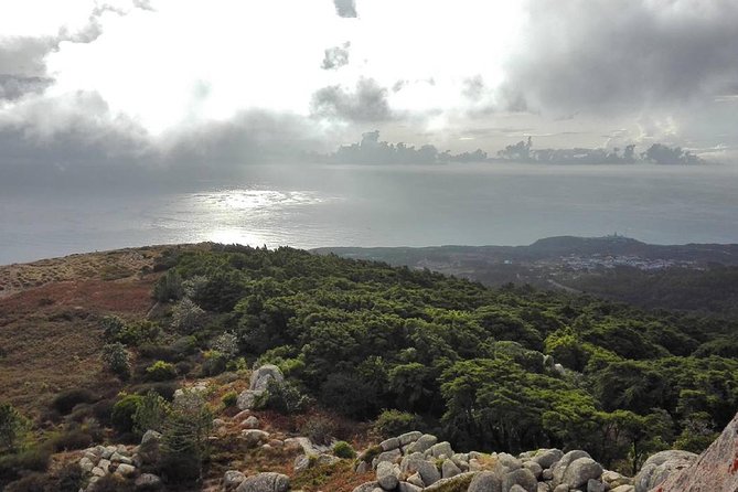 Private Evening Walk Inside the Forest: "Sintra Mountains Inbetween Wolves" - Miguel Boim and the way the stories shape the walk