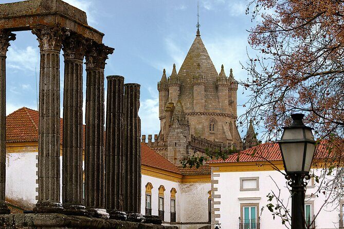 Private Évora Tour - Megaliths, Historical Center and Cork Region - Cromeleque dos Almendres: standing in the Neolithic puzzle
