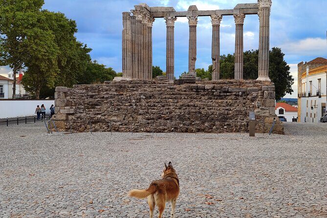 Private Évora Tour - Megaliths, Historical Center and Cork Region - Templo Romano de Évora (Templo de Diana): quick but impressive