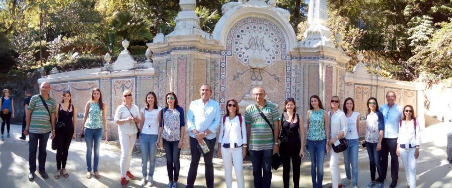 Private Half Day tour Sintra Pena Palace & Initiantion Well - The Scenic Drive Through Sintra-Cascais Natural Park: Views You Don’t Have to Chase