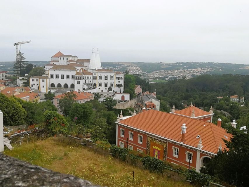 Private Half Day tour Sintra Pena Palace & Initiantion Well - Best For Who? Families, First-Timers, and Short-Stay Lisbon Plans