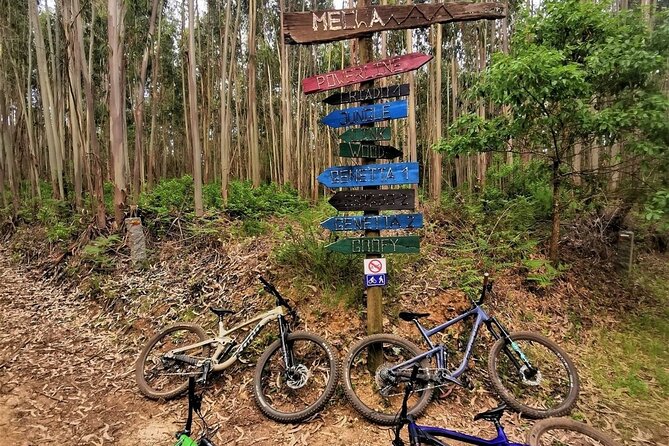 Private mountain bike tour in Lisbon/Sintra/Cascais - Colares as your launchpad: the Sintra riding day plan