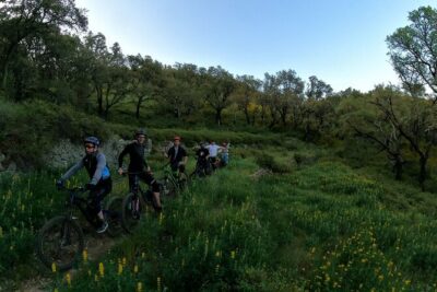 Private mountain bike tour in Lisbon/Sintra/Cascais - Before the first trail: bike setup, protection gear, and warm-up games