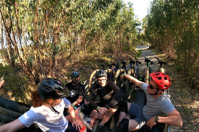 Private mountain bike tour in Lisbon/Sintra/Cascais - The bikes, suspension, and why eMTB can change the day