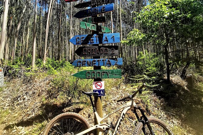 Private mountain bike tour in Lisbon/Sintra/Cascais - Safety and pacing with Karolis: how the guide keeps it fun