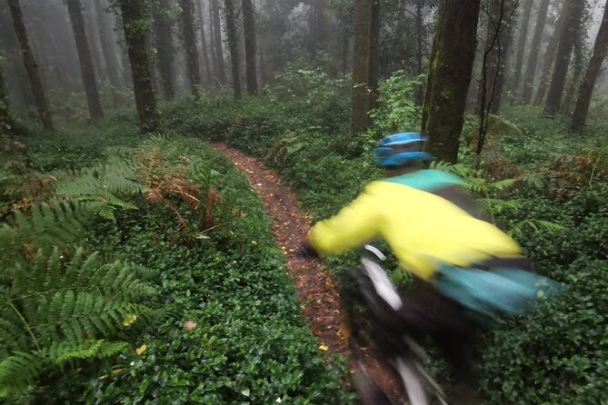 Private mountain bike tour in Lisbon/Sintra/Cascais - Who should book this MTB tour in Lisbon/Sintra/Cascais?