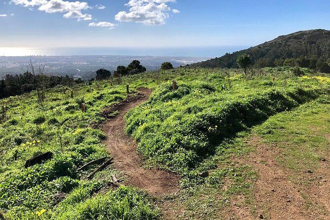 Private Mountain Biking Adventure in Sintra Cascais Park - Pedaling for About 2 Hours: Trails, Hills, and Scenic Stops