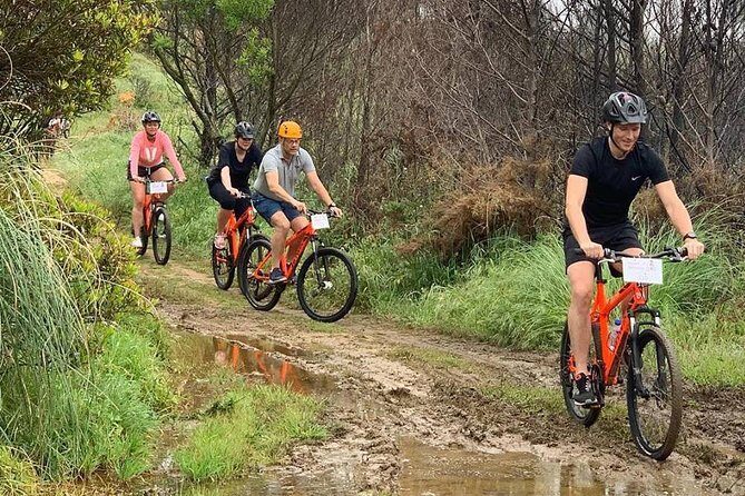 Private Mountain Biking Adventure in Sintra Cascais Park - When the Weather Gets Messy: Mist and Rain Don’t Cancel the Ride