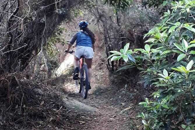 Private Mountain Biking Adventure in Sintra Cascais Park - Adding Cascais: Cobblestone Streets and a Beach Break