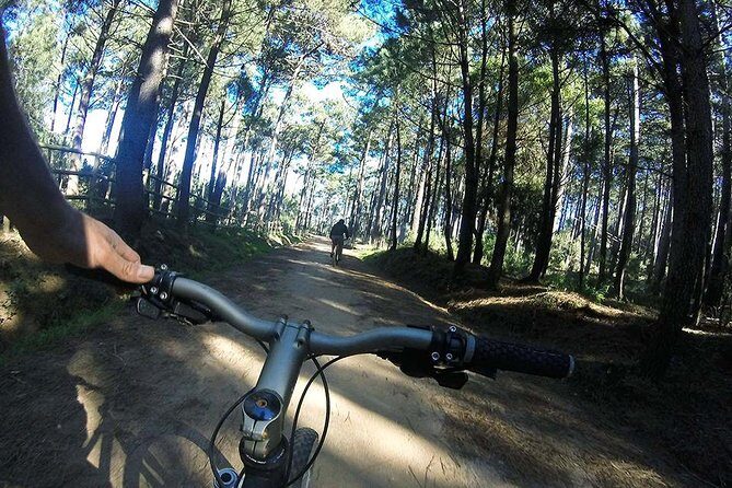 Private Mountain Biking Adventure in Sintra Cascais Park - Getting There: Cascais Routes Base and the 11:30am Start
