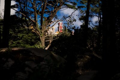 Private Sightseeing Tour in Sintra Portugal - Park and National Palace of Pena: the big views and the €14 budget item