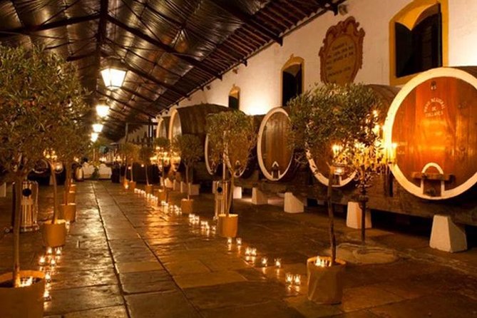Private Sintra Tour from Lisbon with Cellar Visit and Wine Tasting - Adega Regional de Colares: cellar history and wine you can taste