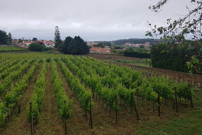 Private Tour from Lisbon to Sintra, Cabo da Roca, Cascais and Estoril - Sintra National Palace (Vila Palace): The Architecture of Connected Spaces