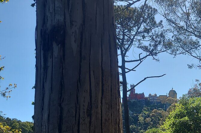 Private Tuk Tuk Tour around Magical Sintra and Coastline - The heart of the tour: Pena Park and the Palace viewpoint