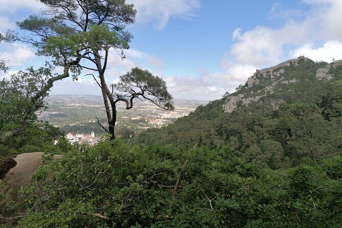 Private Tuk Tuk Tour through Serra de Sintra - Who this private tuk-tuk tour fits best (and who might want something else)