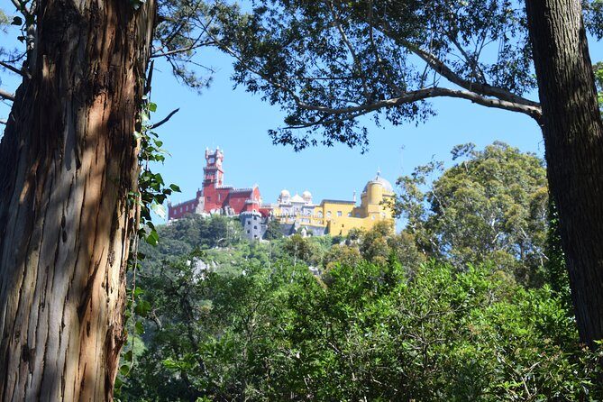 Quick visit to Sintra town from Lisbon Private Tour - Half day - Private Pickup and Transportation That Actually Saves Your Time