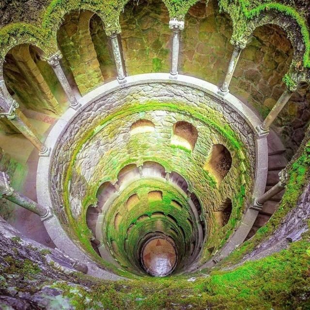 Quinta da Regaleira Skip-the-Ticket-Line Entry & Audioguide - Greenhouse, aquarium fish, and the Fountain of Abundance