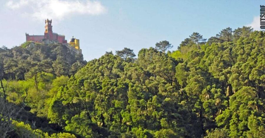 Sintra: 3.5-Hour Rock Climbing Experience - Gear-Up Moment: Quick Climbing Intro and Safety Rules