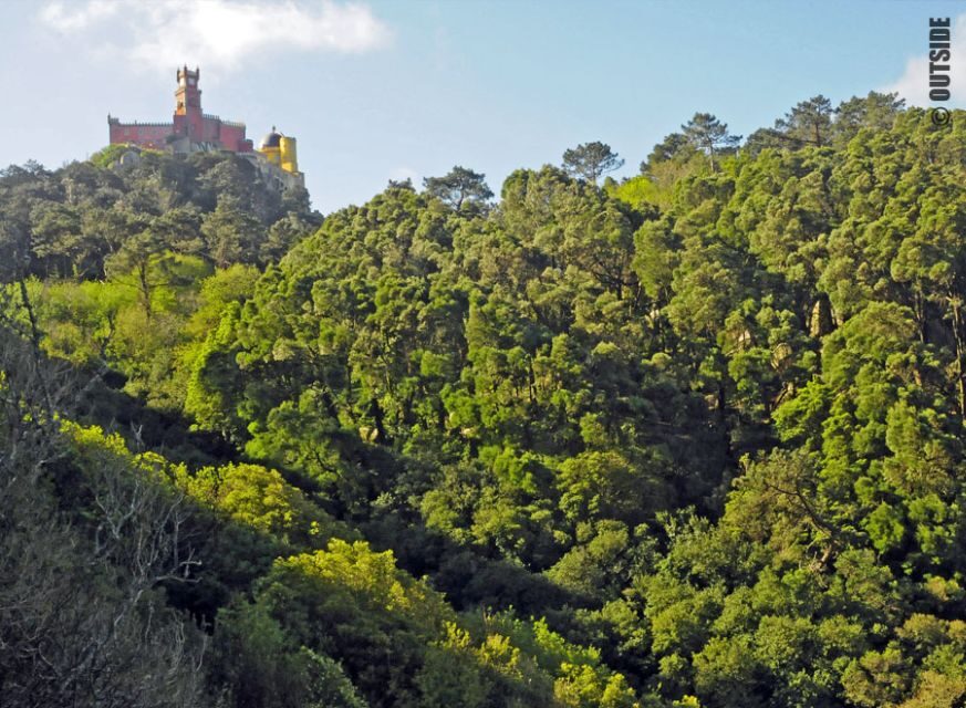 Sintra: 3.5-Hour Rock Climbing Experience - Climbing Beneath Moorish Walls for Palacio da Pena Views