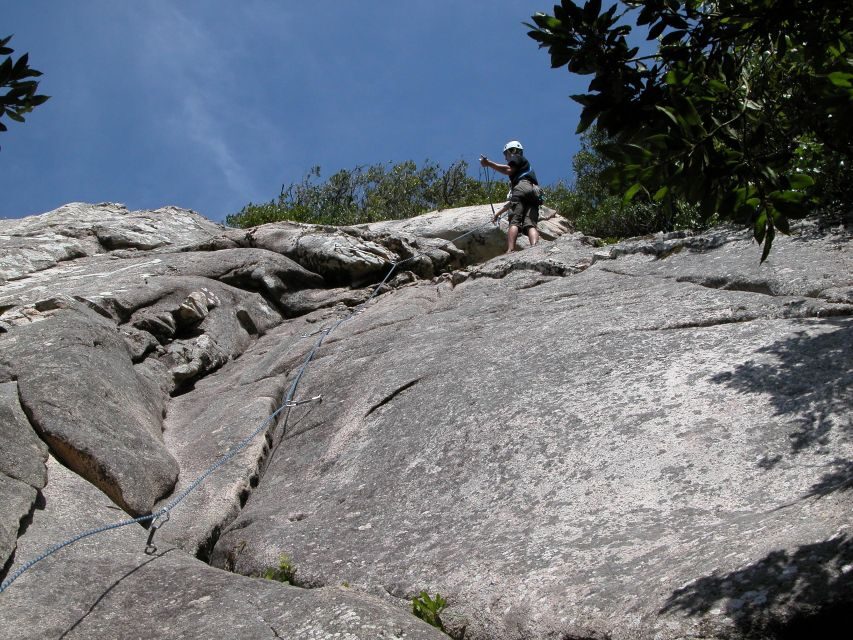 Sintra: 3.5-Hour Rock Climbing Experience - Meeting at Palácio Nacional de Sintra and Walking into the Forest