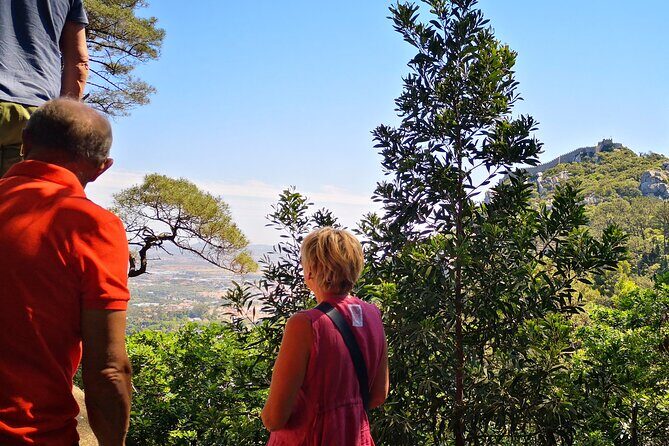 Sintra ALL PALACES - small groups (2-6pax) PRIVATE TOUR - Sintra National Palace: fast, focused, and optional inside
