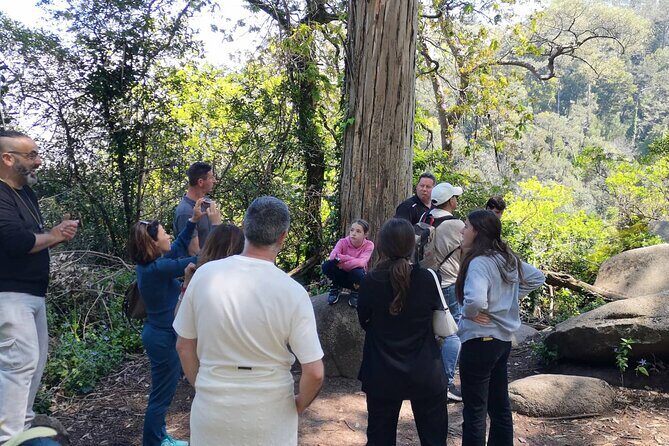 Sintra ALL PALACES - small groups (2-6pax) PRIVATE TOUR - Monserrate Palace and Park: the calmer final note