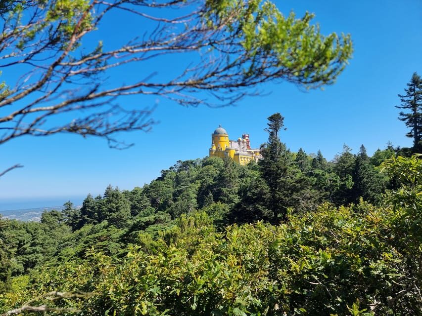 Sintra and Cascais: Magical Fairytale Tour - Quinta da Regaleira and the Initiation Well: the slot strategy that saves your day
