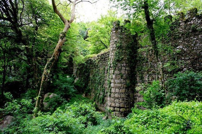 Sintra And Cascais Private Tour : Let us put Sintra in your Heart - Quinta da Regaleira: gardens, symbolism, and time to wander