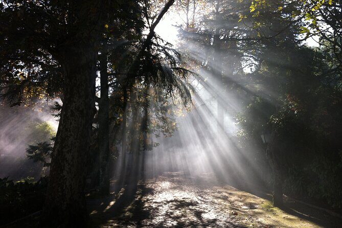 Sintra & Cabo da Roca Private Tour - Meeting Sintra the easy way: starting point and what a private day changes