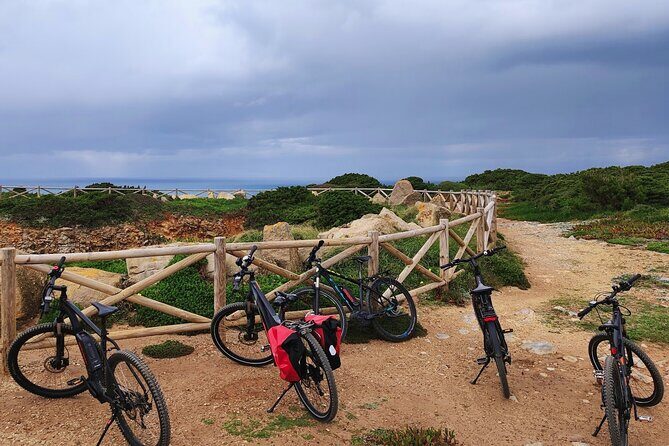 Sintra & Cascais de E-Bike Tour - Stop 3: A deeper hit of Sintra Natural Park and big views