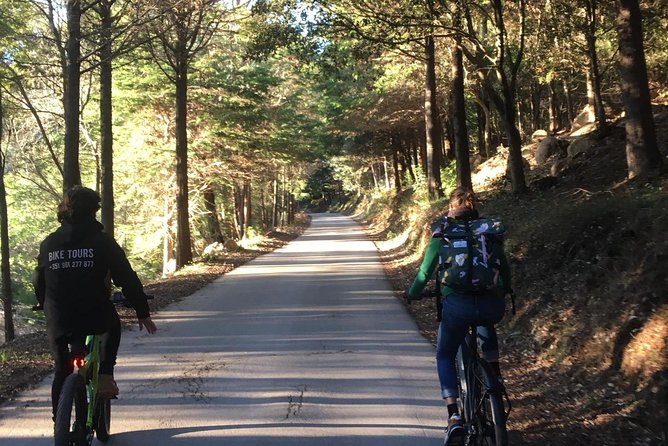 Sintra & Cascais e-bike Guided Tour - Quinta da Regaleira and Seteais: UNESCO sights, plus context at speed