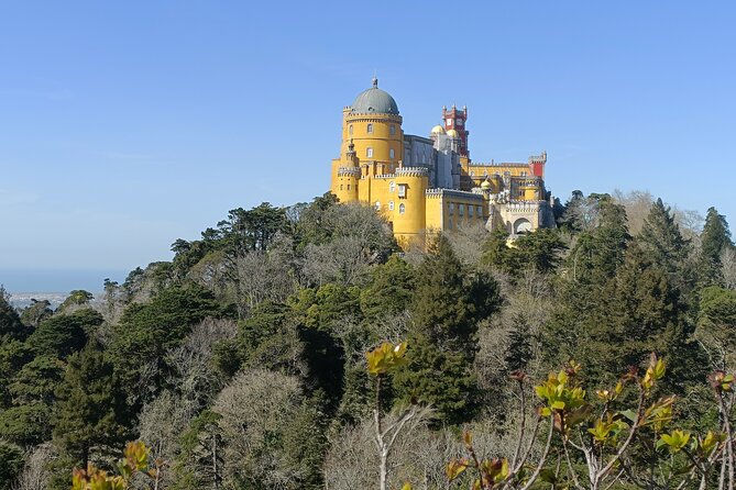 Sintra Essentials from Lisbon - Quinta da Regaleira: 4 Hectares of Mysticism and Romantic Gardens
