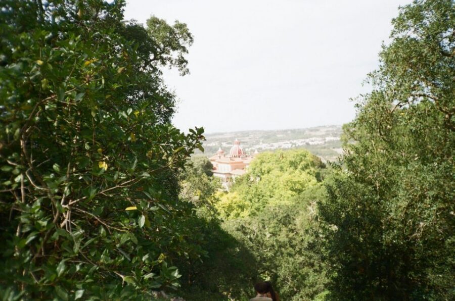 Sintra: Full Day guided tours by Van with Local guide - Meeting in Sintra: finding Avenida Doutor Miguel Bombarda without stress