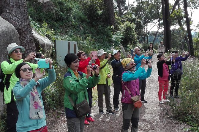 Sintra Full-Day: Pena, Moorish Castle & Regaleira with Tickets - Castelo dos Mouros: ramparts, clouds, and big views