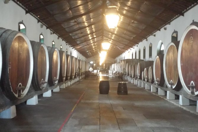 Sintra Full Day Private Wine Experience with Tastings from Lisbon - Colares wine stop #1: a farm revival story and classic red-and-white tastings