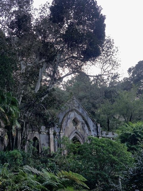 Sintra Highlights: Private Local Tour - Palaces & Views - Sintra’s palace choices: Pena, Quinta da Regaleira, Monserrate, and viewpoints