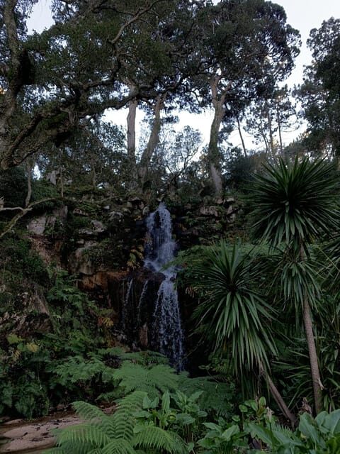 Sintra Highlights: Private Local Tour - Palaces & Views - What Gonçalo adds: history that stays practical, plus local tips