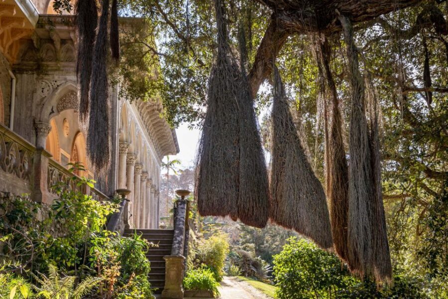 Sintra: Monserrate Palace & Park Ticket - Key things I’d plan around