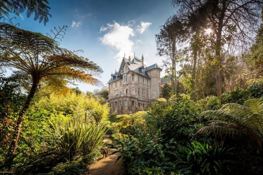 Sintra Off the Beaten Path Tour and Unique Gems - Lunch break in Sintra: how to use the 1-hour pause without losing the day