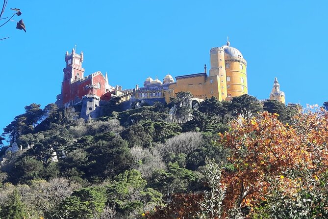 Sintra Palaces and Forest Private Tour - Quinta da Regaleira: symbolism and the initiatory well