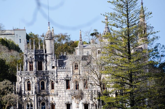 Sintra Palaces and Forest Private Tour - Monserrate Palace and Gardens: shorter, but worth a look