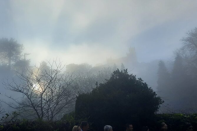 Sintra Palaces and Forest Private Tour - Swap options: using the four-hour window your way