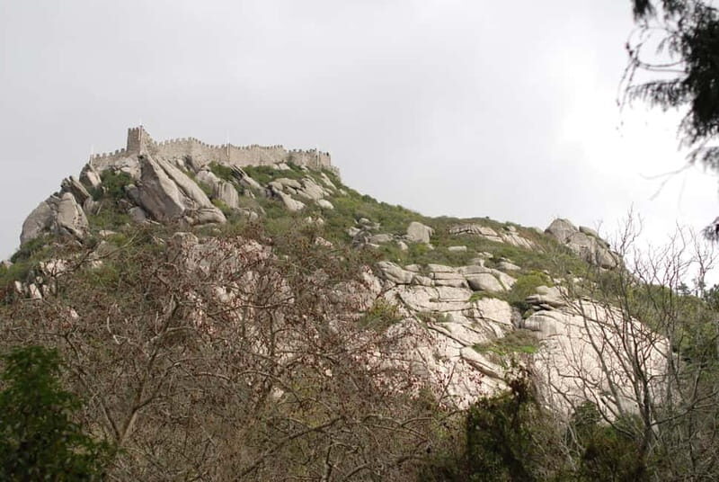 Sintra: Private Half-Day Classic Car or Electric Jeep Tour - What about meals, snacks, and the real-world “where do we eat?”